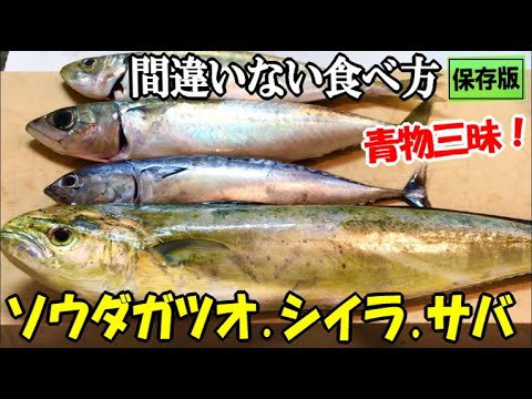 釣った魚で青物三昧してみた！確実にうまい間違いない青物の食べ方です！【ソウダガツオたたき・シイラフライ・究極のしめ鯖・中落ち丼】