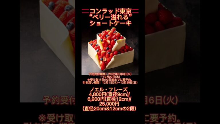 #インパクト #最強 レベル‼️#高級ホテル #クリスマスケーキ #おすすめ 四選　第四弾