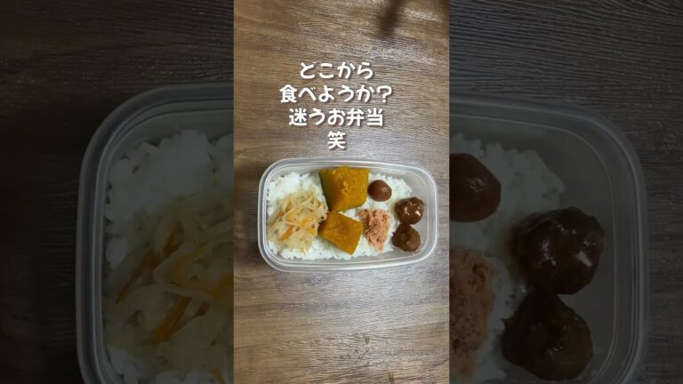 お母さんのお弁当なんてこんなもの／残り物を乗せるだけの簡単お弁当