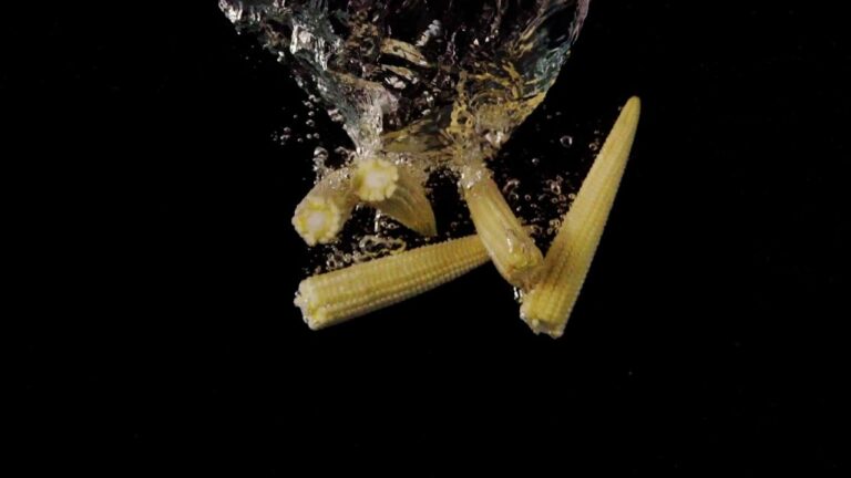 【幻想的な】水の世界💧