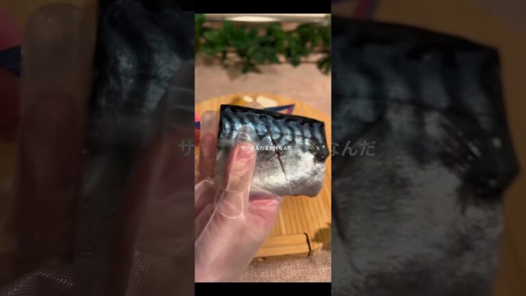 簡単すぎてもう一生この作り方でいい…鯖の味噌煮🐟詳しいレシピはインスタでまとめてます。#ズボラレシピ #レンチンレシピ #下味冷凍 #冷凍ストック #作り置き