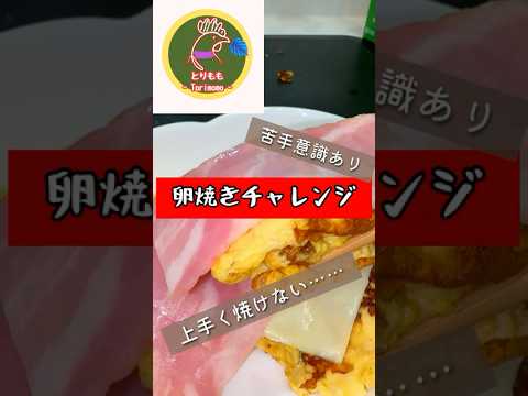 【料理実況】味は完璧◎でも形が…卵焼きチャレンジ