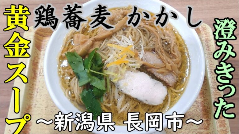 【鶏蕎麦かかし】鶏塩そば 担々塩そば～新潟県 長岡市～鶏の旨味が詰まった黄金色スープjapanese noodles 【飯テロ】【ラーメン】Ramen【塩】