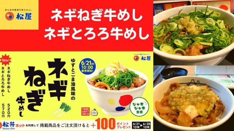 【人類史上、人類が作った最高傑作の動画】松屋 ネギねぎ牛めし・ネギとろろ牛めし