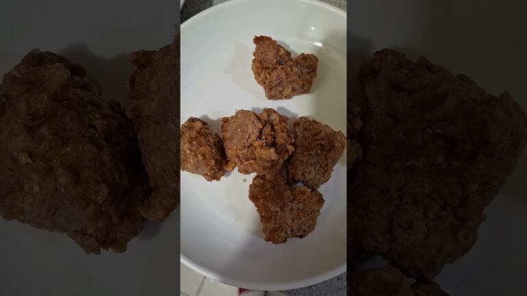 蘿蔔排骨酥湯 Radish Pork Ribs 大根入り豚スペアリブ Iga Babi Lobak 乃趙 alanchao family  25620