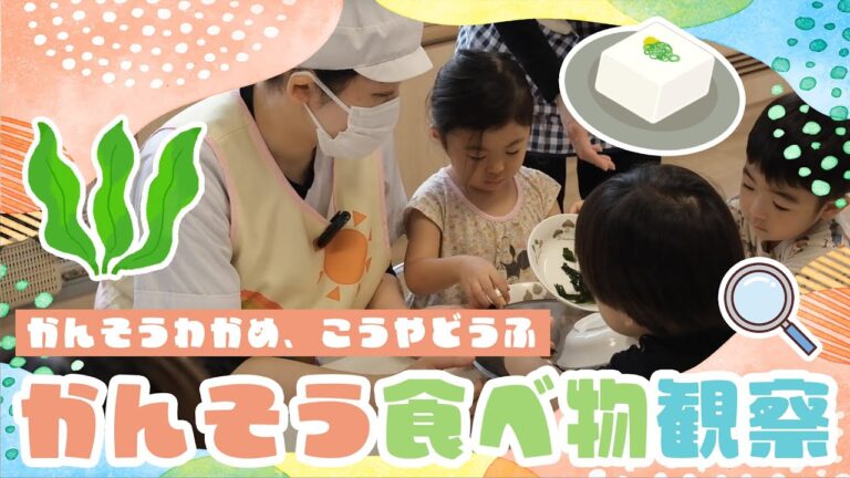 【食べ物の不思議！】みんなで楽しく食材観察！わかめと高野豆腐をちぎって味噌汁に