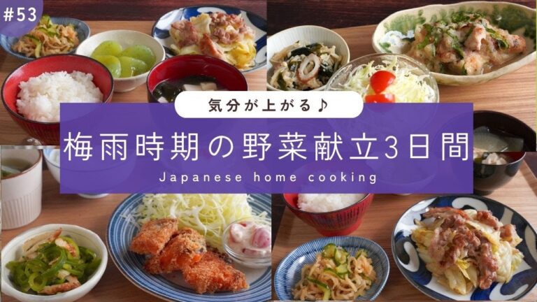 #53【3日間の夕飯献立】さっぱり野菜レシピ！蒸し暑い梅雨時期に食べたい晩ごはん