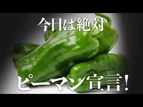 ピーマンで抵抗力強化！簡単でおいしい3メニューをご紹介♪