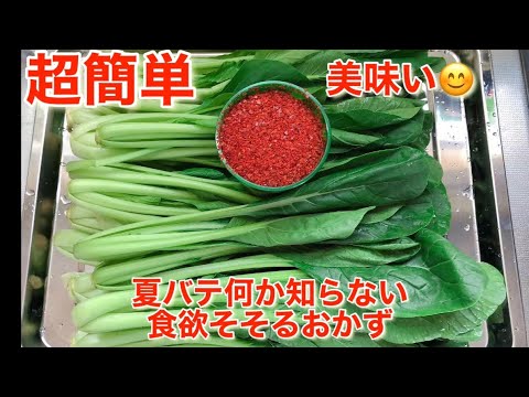 夏バテで消えた食欲が戻ります〜小松菜キムチ🥬