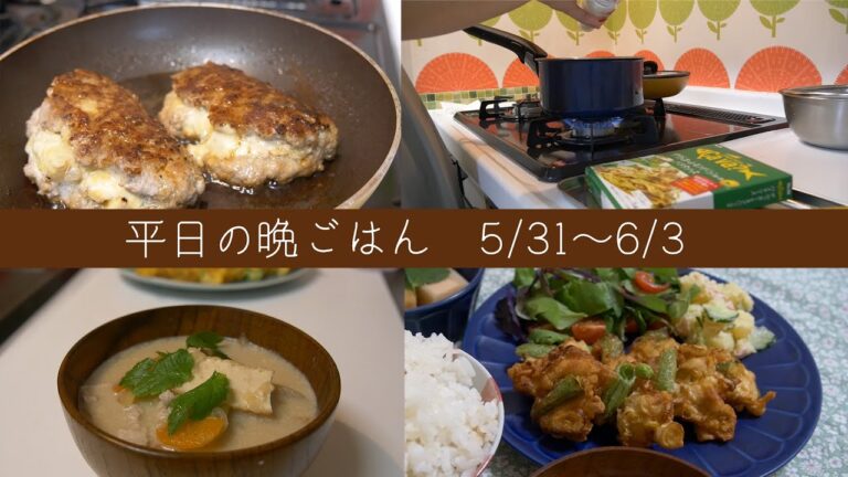 【一人暮らしOL】平日の晩ごはん/鶏のかき揚げ/ポテサラのハンバーグ/豆乳の豚汁