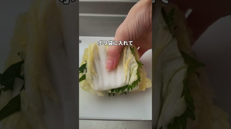 #お手軽レシピ 🍻＜白菜と大葉のミルフィーユ浅漬け＞👩‍🍳
