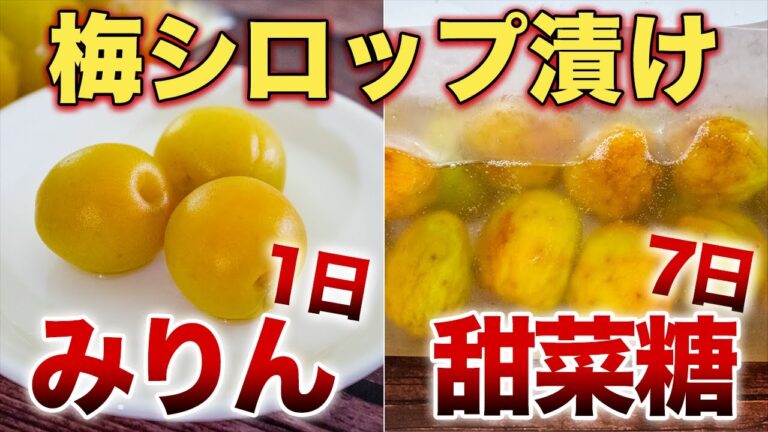 【梅のみりん漬け&甜菜糖漬け】健康おやつ！保存袋で簡単！カリカリ食感まろやか万能梅シロップ【管理栄養士】