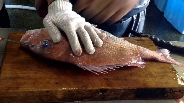 タイの神経探しこれがまた難しいんですこれこそ職人の技煮物にしたら美味しい