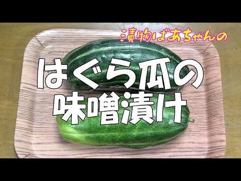 はぐら瓜の味噌漬け『柔らかくて美味しい漬物！！』Let's eat season's food