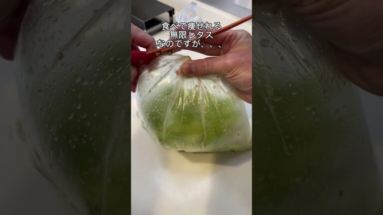 【ダイエット】無限レタス！まじで止まりません🤤✨ #ダイエット #shorts #25キロ痩せ