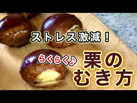 【栗】浸けるだけで簡単！面倒な皮むきが楽になる方法♪