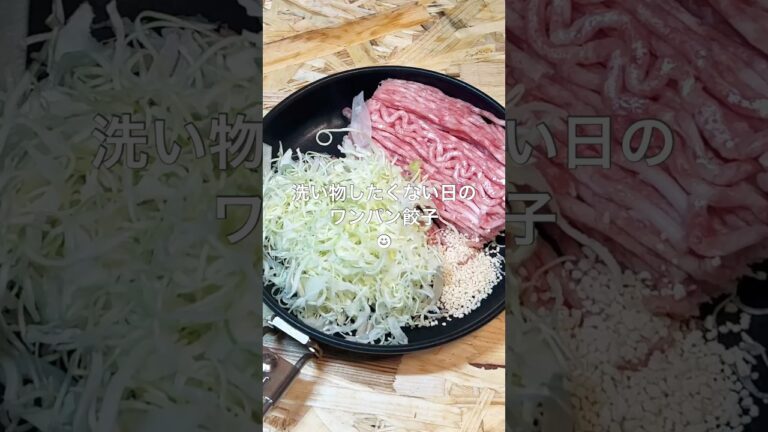 ワンパンで！包まない餃子作ってみた #food #cooking #料理 #簡単 #時短 #節約