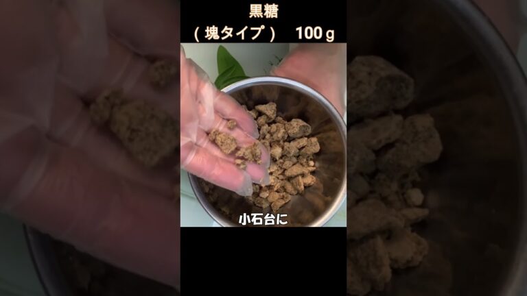 【超簡単！黒糖弾けるゴロ芋蒸しパン】祖母直伝の秋に食べたい田舎風蒸しパンがこちらです　#shorts