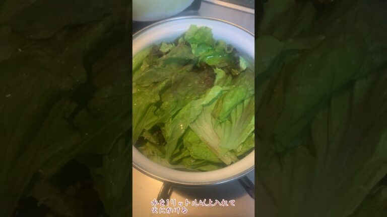 飯テロ　レタス大量消費　コスパ最強のレタススープ