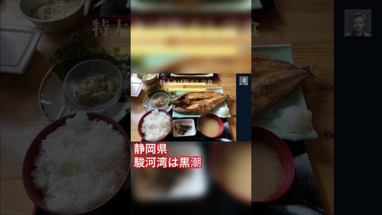 【美食Ch】たんぱく大国『甘みのある脂、新鮮な特大さばの旨味満点！究極の特大塩干し定食をご紹介』#静岡#沼津#グルメ#ランチ