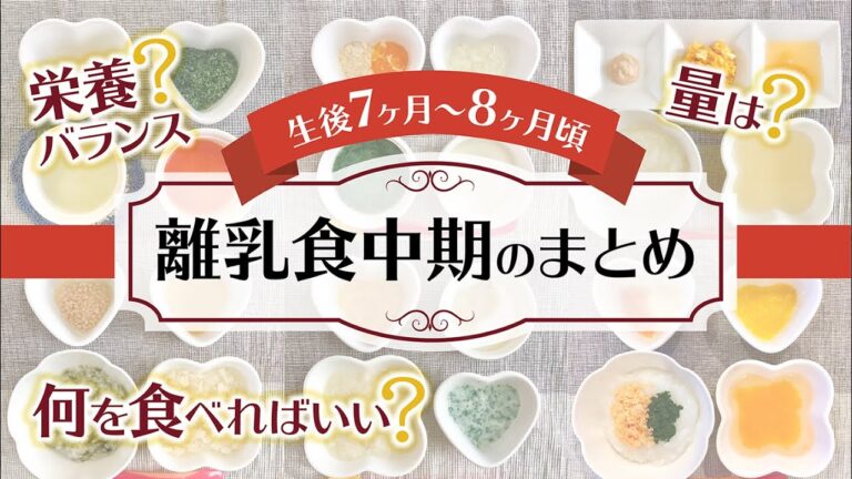 【離乳食中期の記録】献立もたくさんご紹介！もうすぐ中期へ移行する方、毎日のレパートリーにお悩みの方にも（生後7ヶ月〜8ヶ月/2回食/モグモグ期）