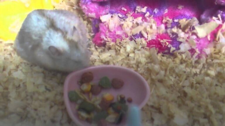 くるみのごはん