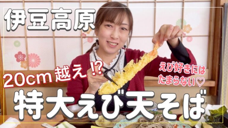 【伊豆高原】20cm越え⁉︎サクッサクッの特大えび天が食べられるお蕎麦屋さん #伊豆グルメ #大室山 #河津桜 #蕎麦