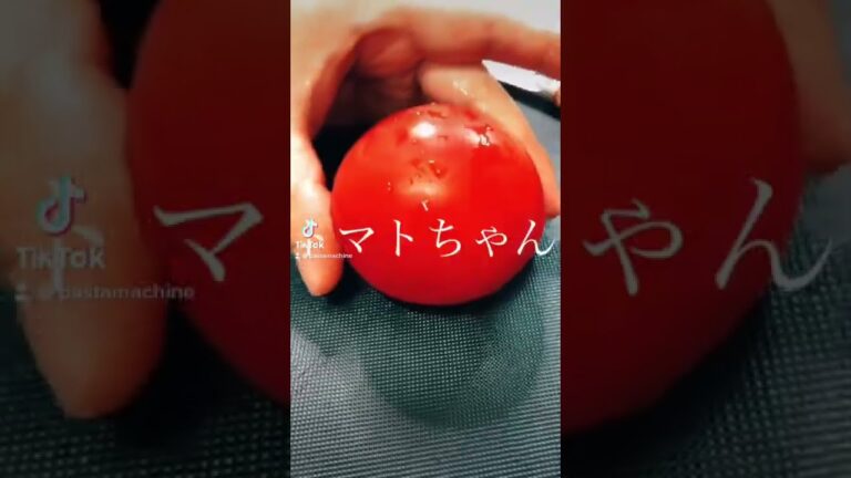 ゴロゴロトマトのサルサソースパスタ