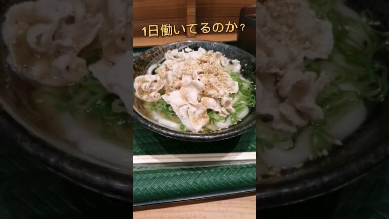はなまるうどん😋塩豚🐷ネギうどんを晩飯に