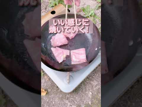 【キャンプ飯】 6Pチーズベーコン巻き🥓#shorts