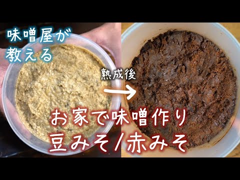 手作り味噌の作り方＊豆みそ/赤みそ編｜水煮大豆＆豆こうじで仕込みます