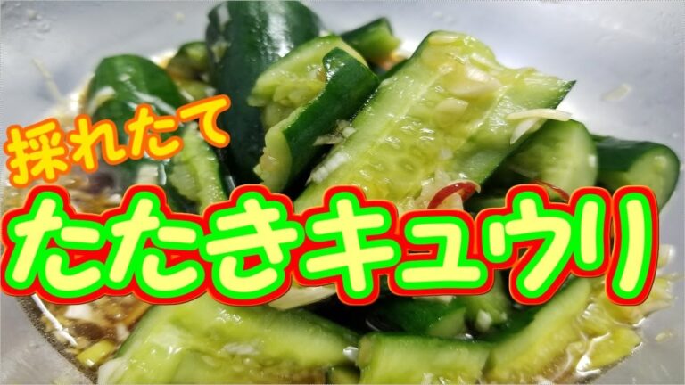 【究極のおかず】お酒に合うたたきキュウリ