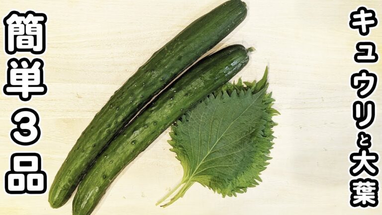 【きゅうりと大葉レシピ3品】切って混ぜるだけ！箸が止まらないやみつきおかずの作り方