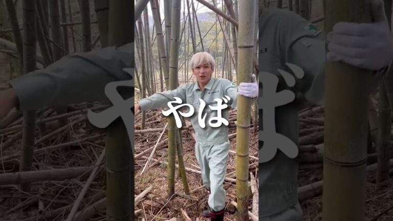 野生のたけのこ発見したから採ってみた結果www#竹の子#山菜#飯テロ#モッパン