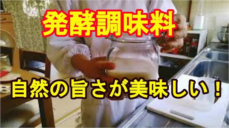 【万能発酵調味料】塩麴、醤油麴、玉ねぎ麹の自然の旨さ！