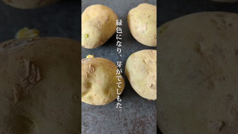 【じゃがいも救済！】芽がでたじゃがいもでカルボナーラ風ポテサラ作りました #shorts #あるもの食堂🍚 #東北のミキティママ #東北を一番幸せにしたい料理研究家  #じゃかいも #ポテサラ