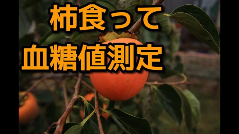 【柿】食って血糖値測定