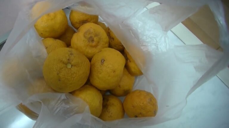 Vol_36.ゆず酢を作ってみた！