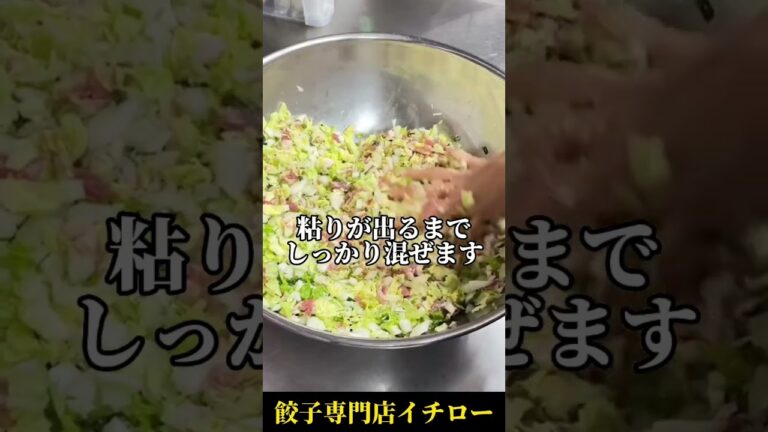 【#シンプルイズベスト】絶品水餃子のタネ作り #水餃子 #餃子 #作り方 #イチロー餃子 #餃子専門店イチロー #料理動画 #food #dumpling #dumplings