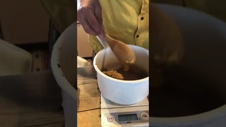 梅味噌味噌歯味噌も糞も味噌梅味噌#shorts