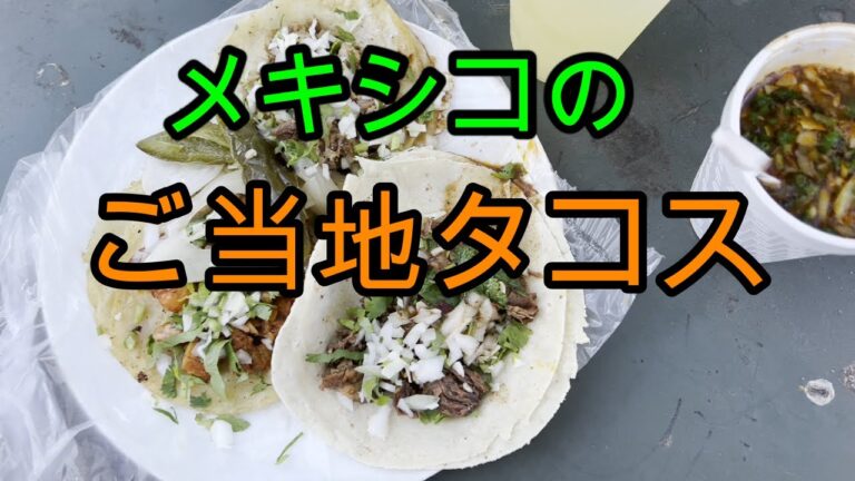 【本場のタコス】ハリスコ、ナヤリット地方【ビリア】