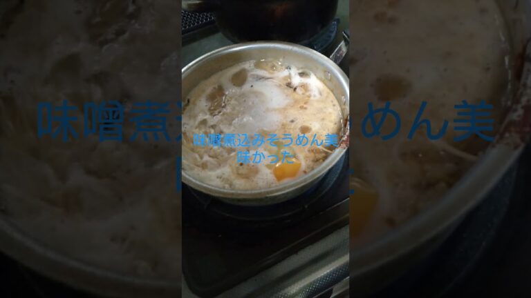 味噌煮込みそうめん美味かった