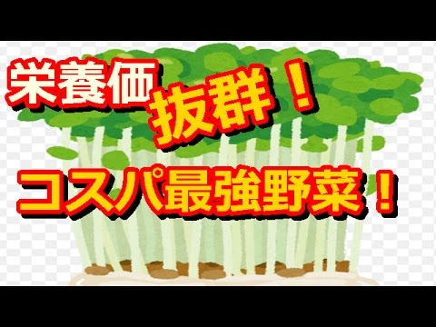 コスパ最強野菜！「豆苗」の実力が侮れない！