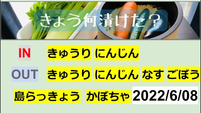 【ぬか漬け記録 22/6/08 】　きゅうり  にんじん  ごぼう  なす  島らっきょう  かぼちゃ