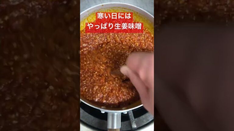 【生姜味噌】 #吉田のうどんとがわ #スパオル