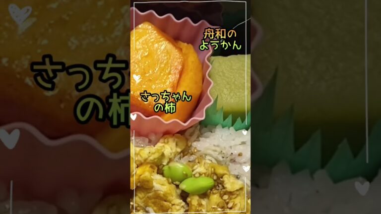 【しらす・今日のお弁当😋🍱】時短❣️ほぼのせるだけ❣️#shorts