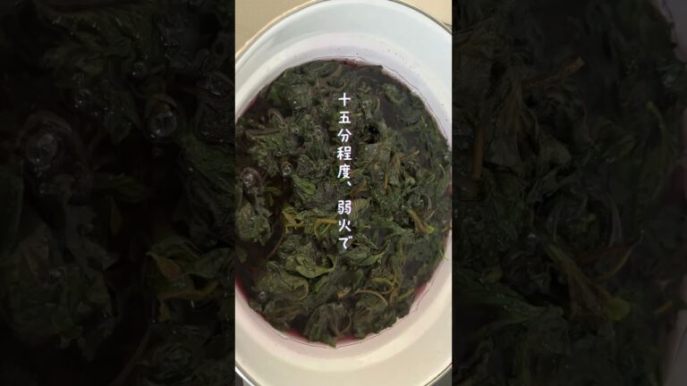 #紫蘇ジュース#疲労回復#アレルギー緩和#美肌効果#食欲増進#夏バテ防止#手作り