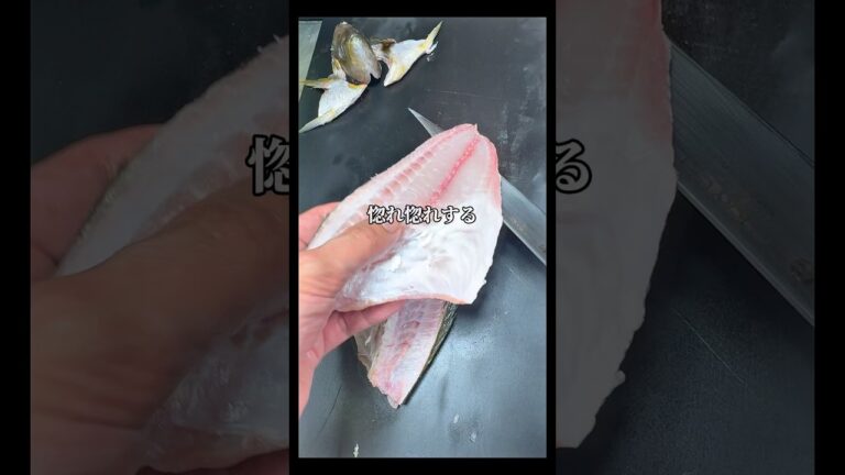 【旬を味わう】梅雨イサキは食べておくべき旨い魚 #晩酌 #料理 #さかな #釣り#魚#刺身#sashimi #sushi #shorts