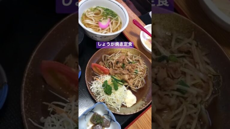 ショート#179 【大洲市議会議員】中野ひろし 大洲市徳森「かめやうどん」のざるうどん、しょうが焼き定食、カレーうどん #Shorts #shorts
