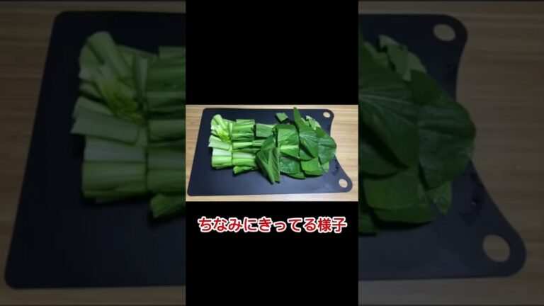 【小松菜と桜エビの炒め煮】